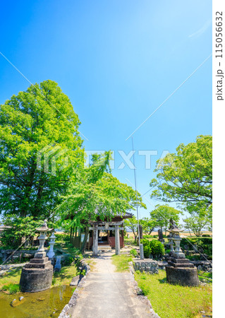 初夏の縫ノ池と川津厳島神社　佐賀県白石町 115056632