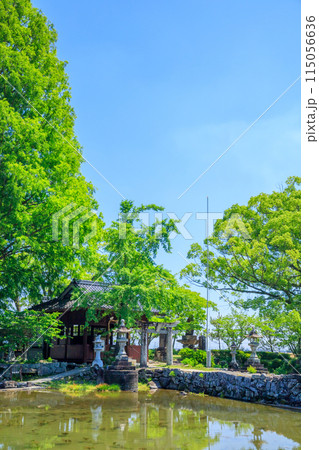 初夏の縫ノ池と川津厳島神社　佐賀県白石町 115056636