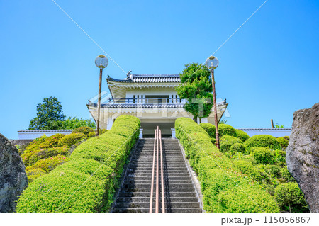 初夏の肥前犬山城展望台 佐賀県白石町 初夏の肥前犬山城展望台 佐賀県白石町 115056867