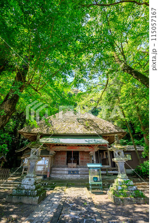初夏の水堂安福寺 観音堂　佐賀県白石町 115057167
