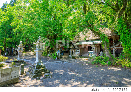 初夏の水堂安福寺 観音堂 佐賀県白石町 初夏の水堂安福寺 観音堂 佐賀県白石町 115057171