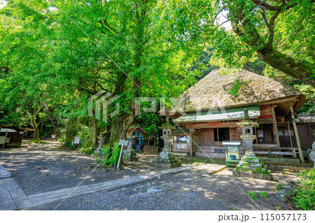 初夏の水堂安福寺 観音堂 佐賀県白石町 初夏の水堂安福寺 観音堂 佐賀県白石町 115057173