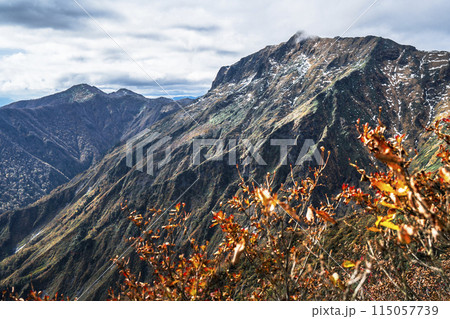 晩秋の谷川岳 ゴツゴツした山肌のマナイタグラを眺める【群馬県・みなかみ町】 晩秋の谷川岳 ゴツゴツした山肌のマナイタグラを眺める【群馬県・みなかみ町】 115057739
