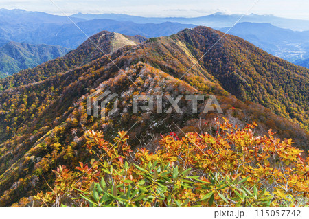 晩秋の谷川岳 登山道から紅葉の稜線を眺める【群馬県・みなかみ町】 晩秋の谷川岳 登山道から紅葉の稜線を眺める【群馬県・みなかみ町】 115057742