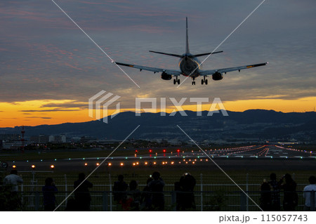 伊丹空港に着陸する旅客機 伊丹空港に着陸する旅客機 115057743