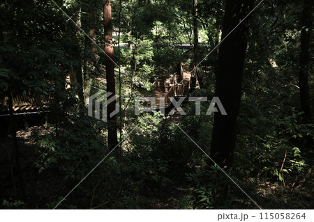 神奈川 東高根森林公園 神奈川 東高根森林公園 115058264