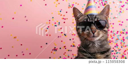 Happy birthday card concept. Cat with party hat and sunglasses celebrating birthday, carnival, New Year's eve, sylvester or other festive celebration 115058308