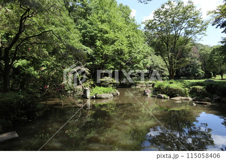 神奈川　東高根森林公園 115058406