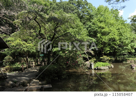 神奈川 東高根森林公園 神奈川 東高根森林公園 115058407