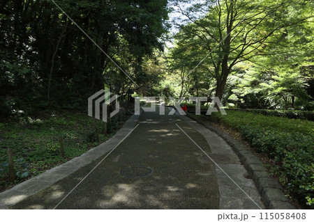 神奈川　東高根森林公園 115058408