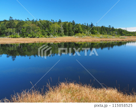 初秋の鬼怒沼湿原 初秋の鬼怒沼湿原 115058525