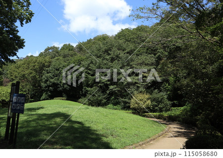 神奈川　東高根森林公園 115058680