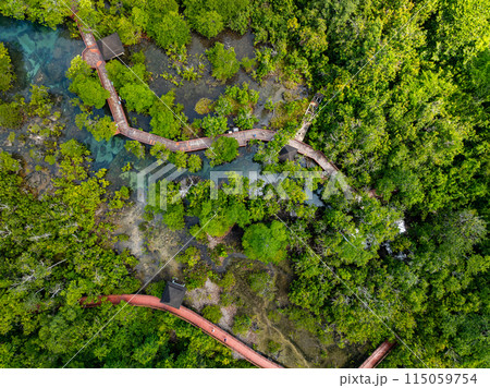 Top view Mangrove forest and river landscape at Thapom Klong Song Nam, Krabi Thailand, Beautiful root in mangrove forest with crystal clear water in small canal,High angle view Top view Mangrove forest and river landscape at Thapom Klong Song Nam, Krabi Thailand, Beautiful root in mangrove forest with crystal clear water in small canal,High angle view 115059754