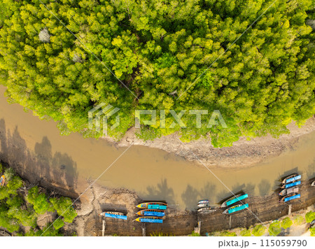 Amazing abundant mangrove forest, Aerial view of forest trees Rainforest ecosystem and healthy environment background, Texture of green trees forest top down, High angle view Amazing abundant mangrove forest, Aerial view of forest trees Rainforest ecosystem and healthy environment background, Texture of green trees forest top down, High angle view 115059790
