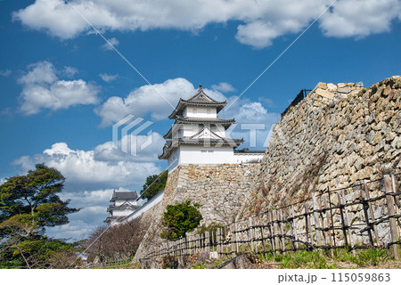 石垣の上にそびえ立つ明石城巽櫓 石垣の上にそびえ立つ明石城巽櫓 115059863