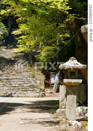 神社へ続く参道と灯篭 神社へ続く参道と灯篭 115060497