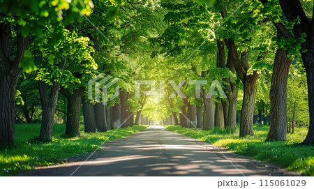 新緑の公園の背景素材05 新緑の公園の背景素材05 115061029