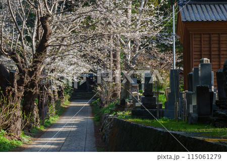 桜の松前　北海道の桜の名所 道南 115061279