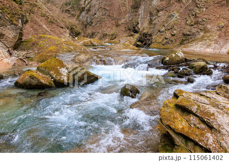 春のスッカン沢の美しい水の流れ 春のスッカン沢の美しい水の流れ 115061402