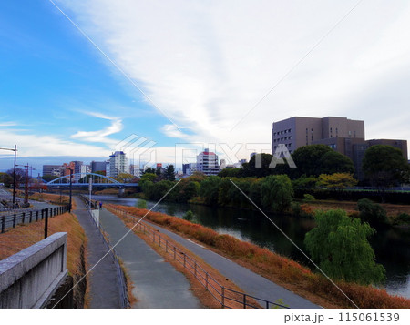 熊本県熊本市の街並み 115061539
