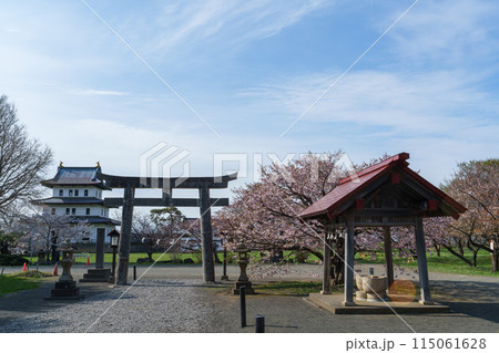 北海道の桜の名所松前　春の松前城 115061628