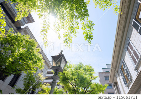 神戸の旧居留地の風景 神戸の旧居留地の風景 115061711