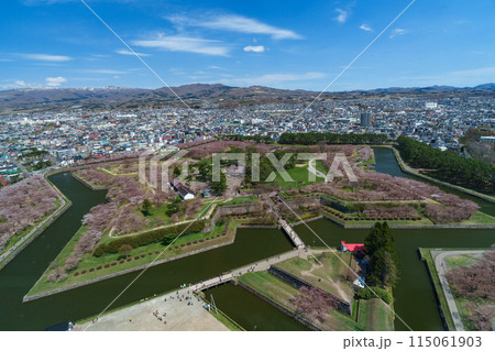 五稜郭タワーから見た五稜郭公園の桜 115061903