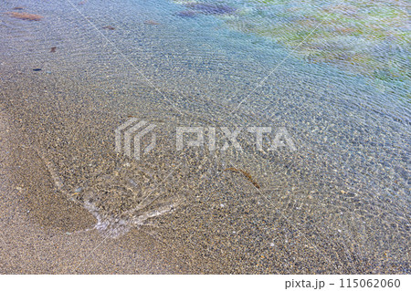 【新潟県･佐渡】二ツ亀　ミシュランガイドで二つ星 115062060