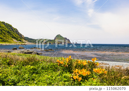 【新潟県･佐渡】二ツ亀　ミシュランガイドで二つ星 115062070