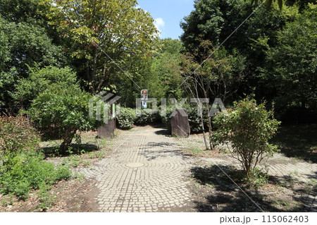 神奈川　東高根森林公園 115062403