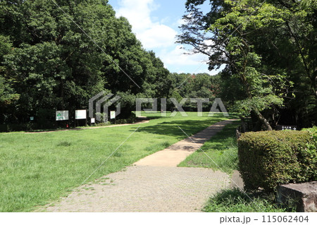 神奈川　東高根森林公園 115062404