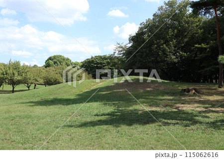 野川公園 115062616