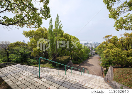 神戸の会下山公園 神戸の会下山公園 115062640