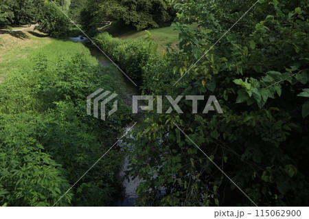 野川公園 115062900