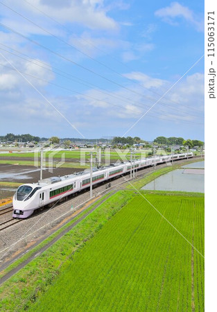 JRj常磐線 内原付近を走行する 115063171