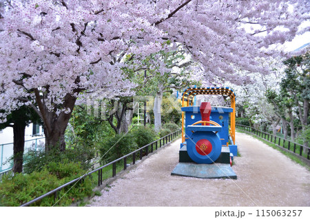 杉並・下高井戸の玉川上水第三公園の桜並木と蒸気機関車の遊具 杉並・下高井戸の玉川上水第三公園の桜並木と蒸気機関車の遊具 115063257