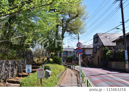 世田谷城阯公園横の城山通り 115063258