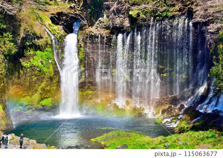 静岡白糸の滝と虹 115063677