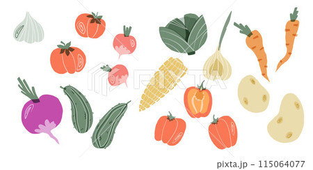 big set of vector vegetables in collage style isolated on white background 115064077