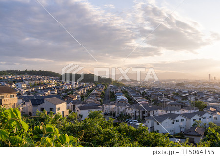 《東京都》一面に広がる住宅街の夕景・東京近郊エリア 《東京都》一面に広がる住宅街の夕景・東京近郊エリア 115064155