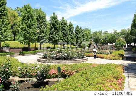都立秋留台公園　バラ園 115064492