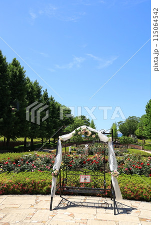 都立秋留台公園 バラ園 都立秋留台公園 バラ園 115064542
