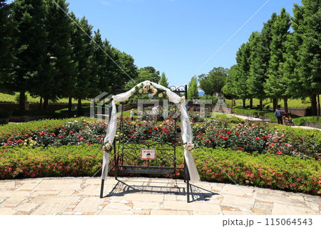 都立秋留台公園　バラ園 115064543