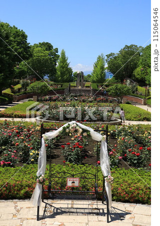 都立秋留台公園　バラ園 115064546