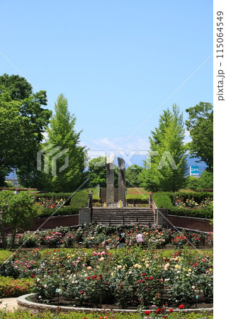 都立秋留台公園　バラ園 115064549