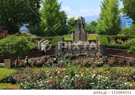 都立秋留台公園　バラ園 115064551