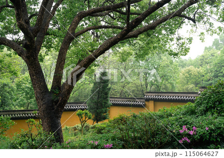 Yongfu Temple green forest garden in Hangzhou, China Yongfu Temple green forest garden in Hangzhou, China 115064627