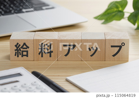 給料アップと書かれた積み木のブロック 給料アップと書かれた積み木のブロック 115064819