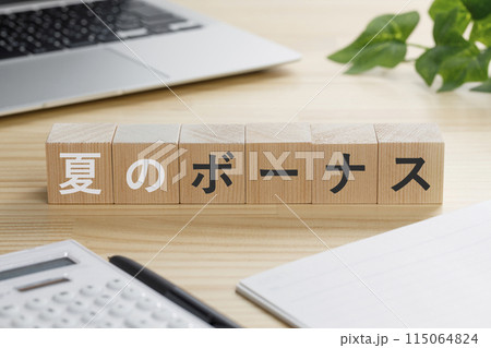 夏のボーナスと書かれた積み木のブロック 夏のボーナスと書かれた積み木のブロック 115064824
