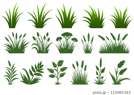 Set of vector green grass. 115065163